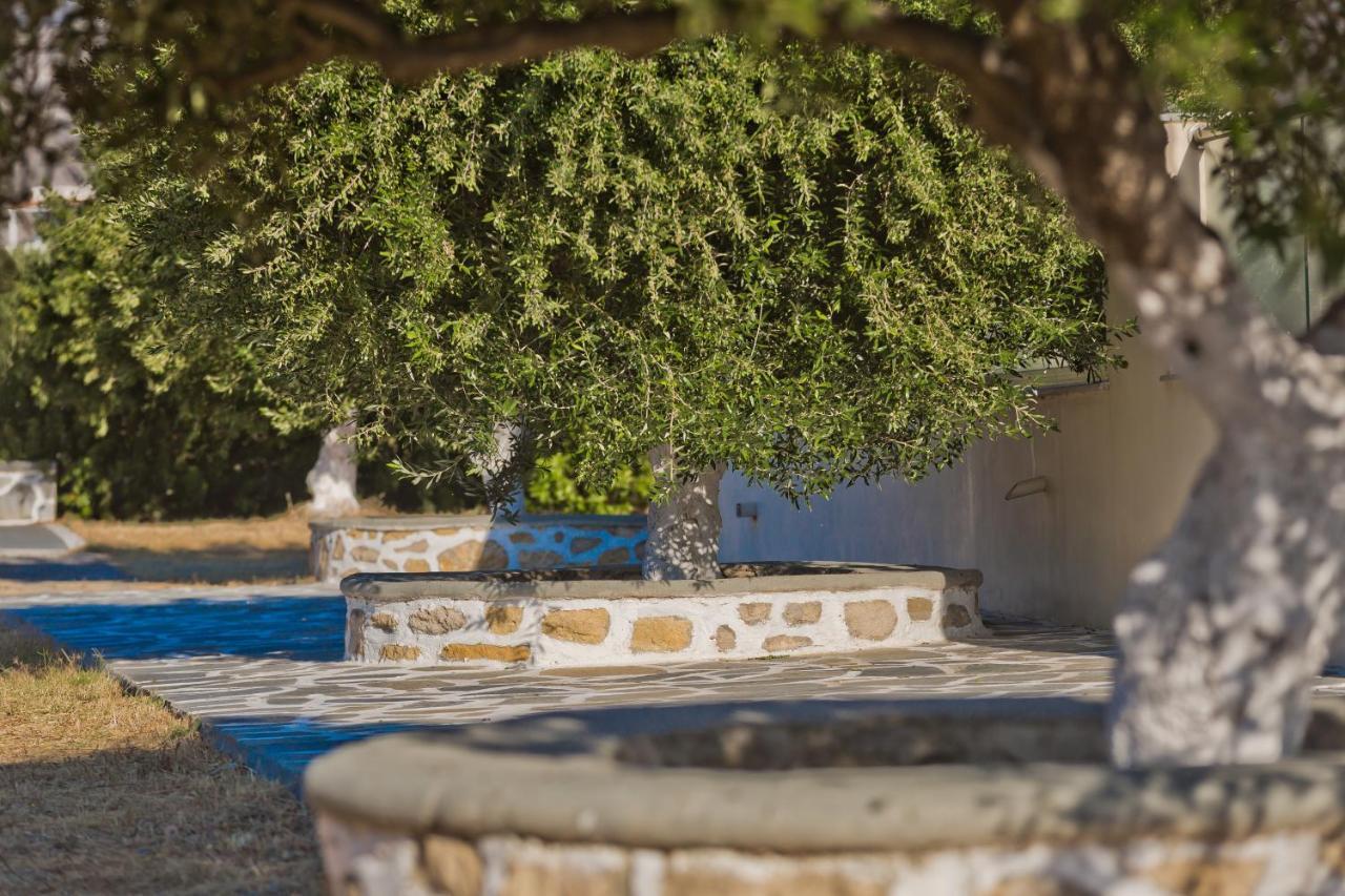 Olive Studios Karpathos Studio #4 Екстер'єр фото