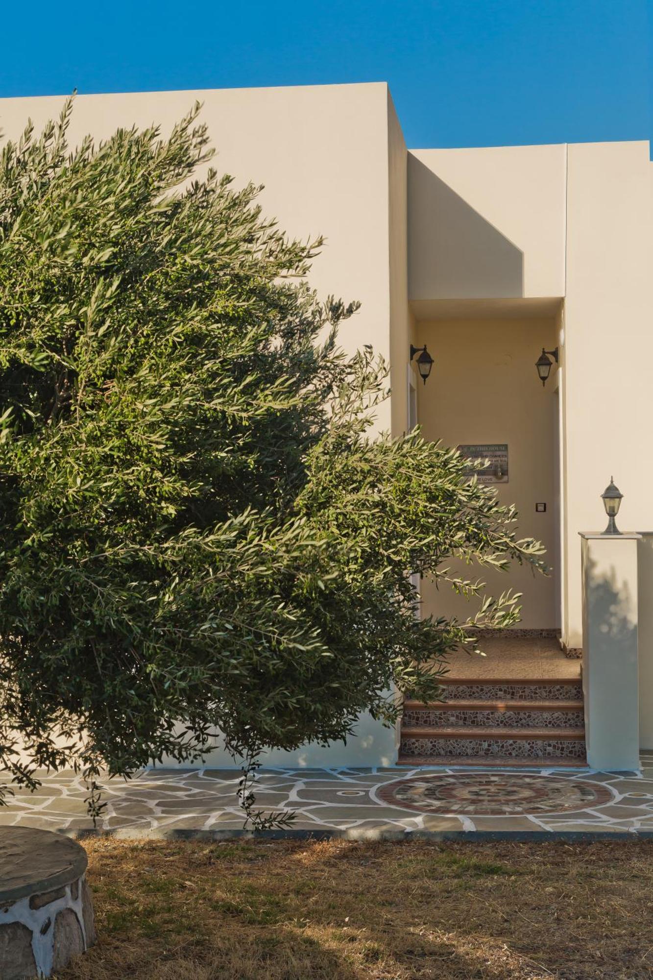 Olive Studios Karpathos Studio #4 Екстер'єр фото