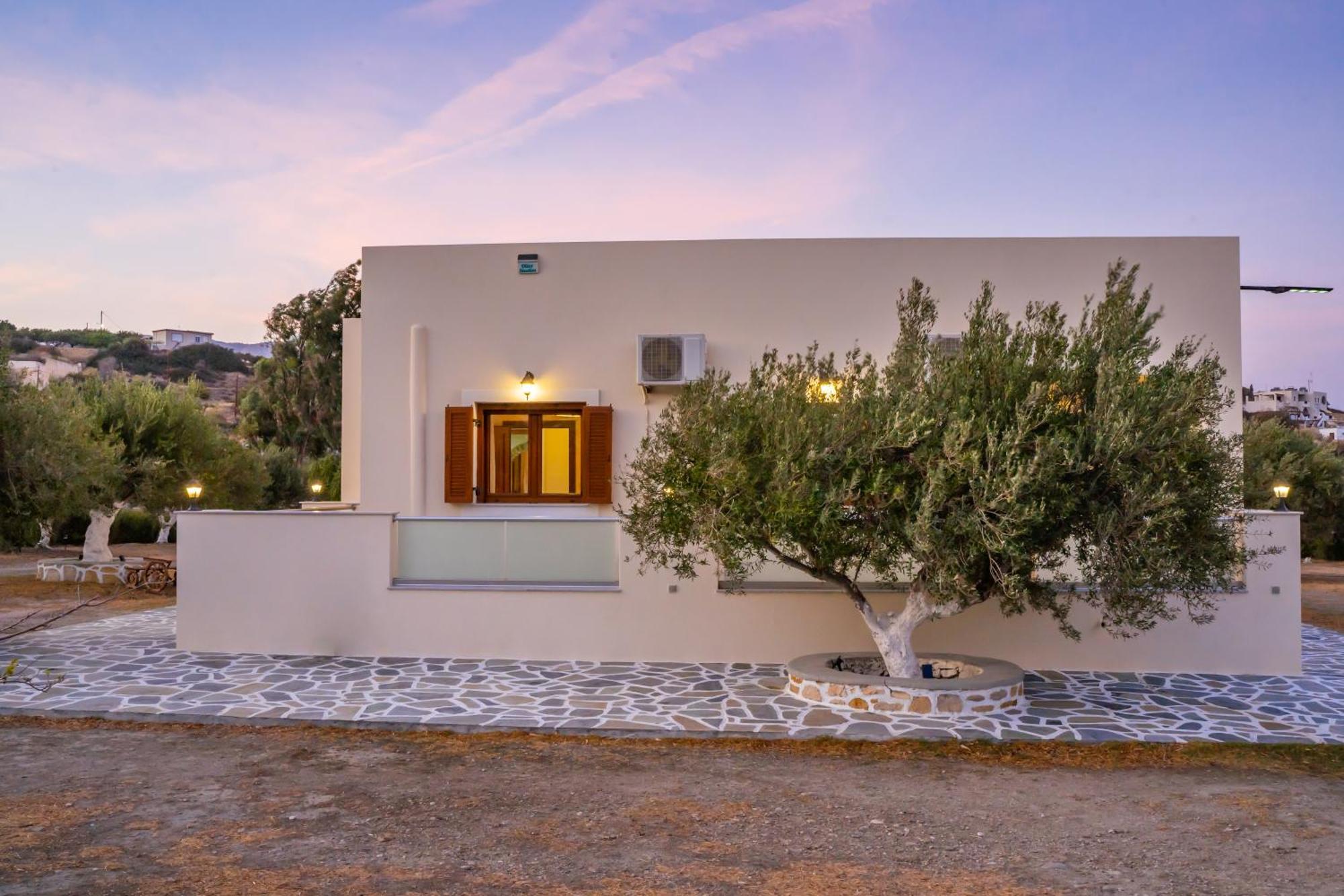 Olive Studios Karpathos Studio #4 Екстер'єр фото