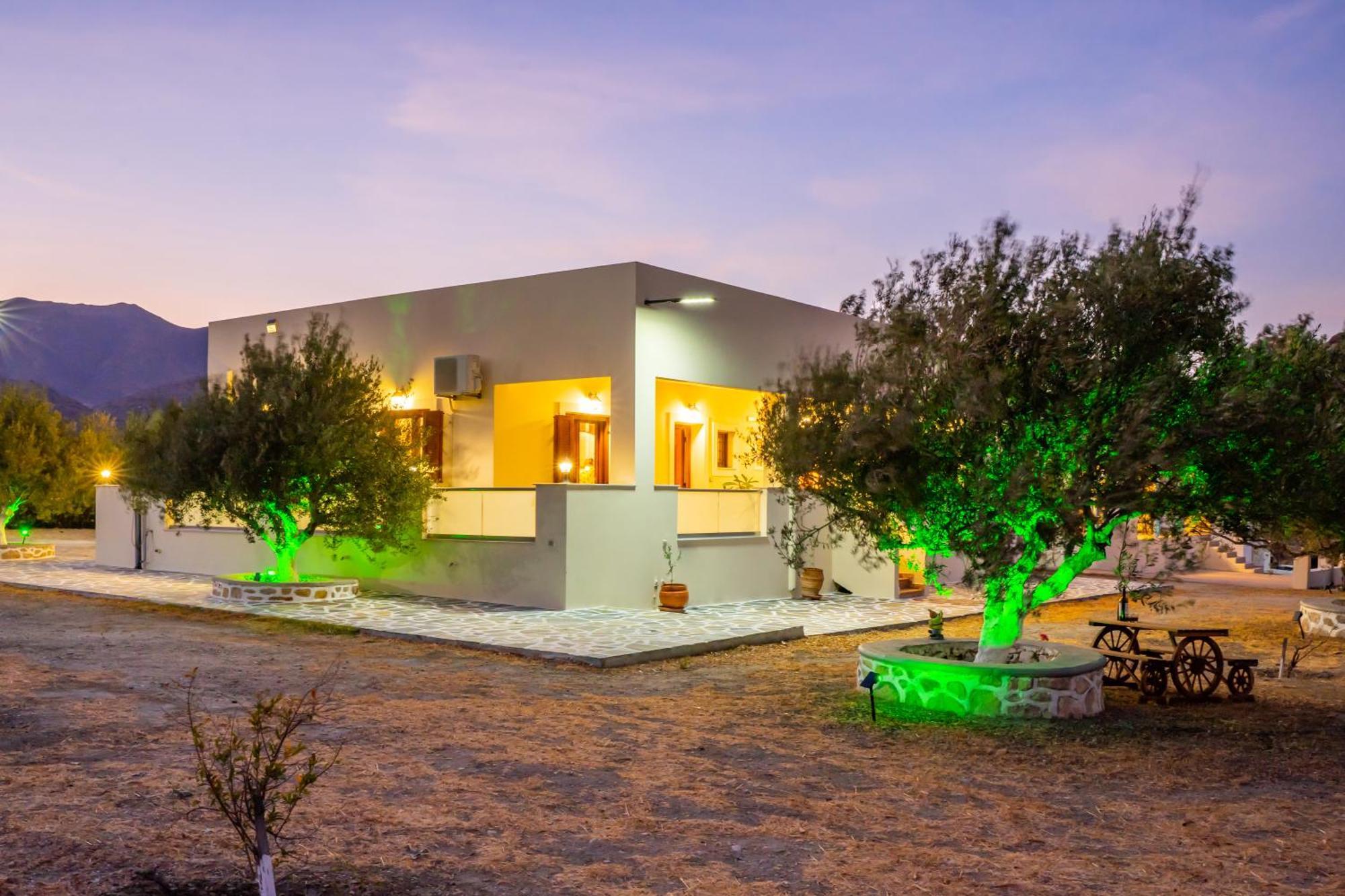 Olive Studios Karpathos Studio #4 Екстер'єр фото